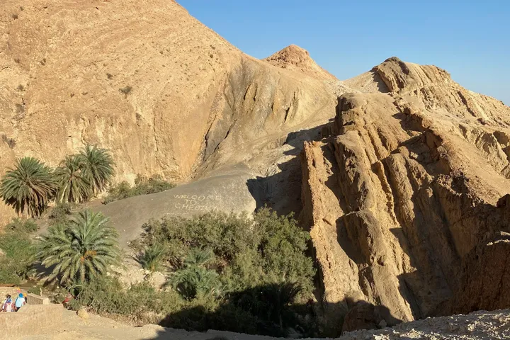 A rocky gorge with palm trees growing at its foot, under a clear blue sky.