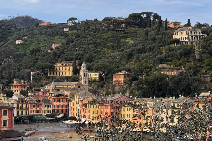 The pastel houses of Portofino around the harbour, seen through olive branches, with wooded hills behind.